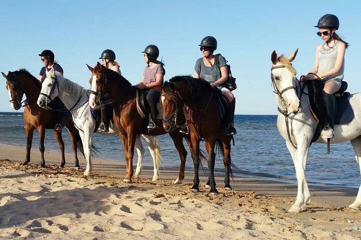 2-Hour Horseback Riding Tour Across Beach & Desert in Hurghada