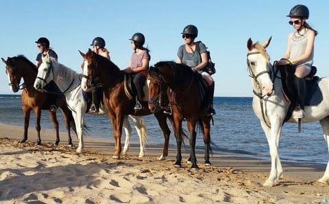 Horseback Riding Tour Across Beach and Desert in Hurghada