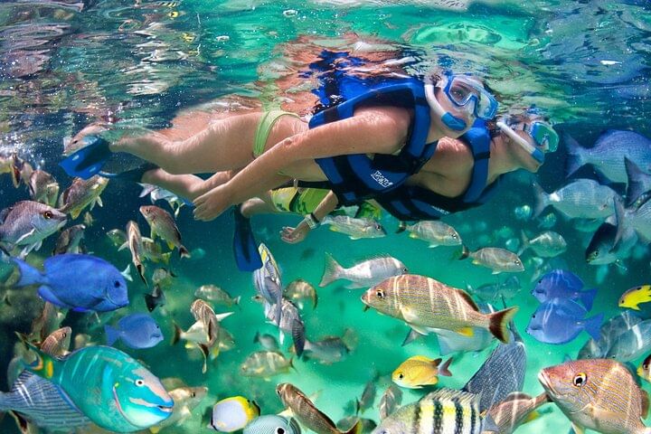 Parasailing & Snorkeling Catamaran Cruise