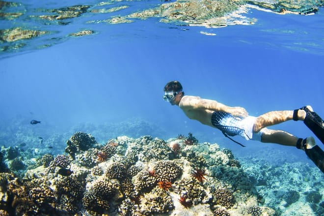 Bali: Padangbai Blue Lagoon Snorkeling Day Trip 8