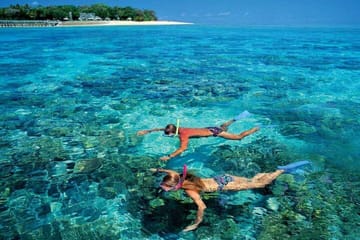 Snorkeling Adventure with Dolphins in Samadai, Marsa Alam
