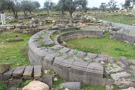 Private Tour to Explore Umm Qais and Pella’s Ancient Ruins from Amman