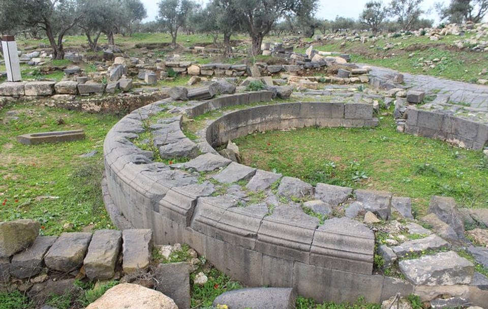 Private Full Day Trip of Umm Qais and Pella from Amman