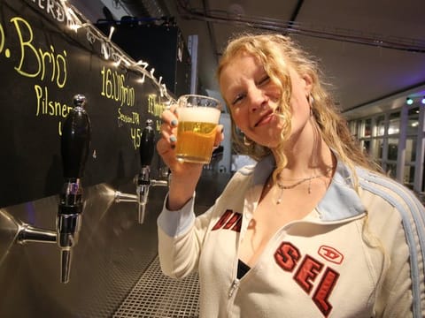 Reykjavík Pub Crawl Tour with Drinks and Games, photo 5
