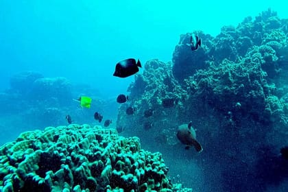 4-Day Adventure Tour in Easter Island