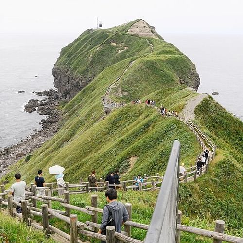 Cape Kamui Shakotan Day Tour in Hokkaido