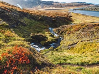 Private Snæfellsnes Peninsula Tour with Multilingual Guide (PL / EN / ES / ZH), photo 10