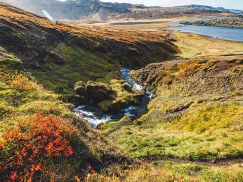 Private Snæfellsnes Peninsula Tour with Multilingual Guide (PL / EN / ES / ZH), photo 10