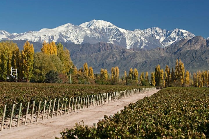 4-Days Trip to Mendoza and The Andes 7