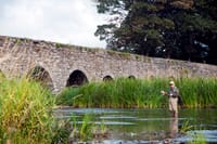 Wild brown trout river fishing on Connemara fishery. Galway. Private guided. French/Eng, 1