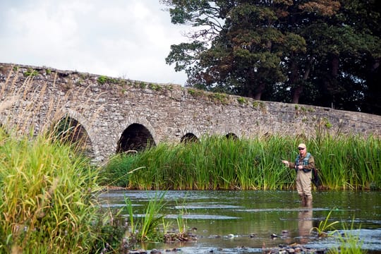 Wild brown trout river fishing on Connemara fishery. Galway. Private guided. French/Eng,