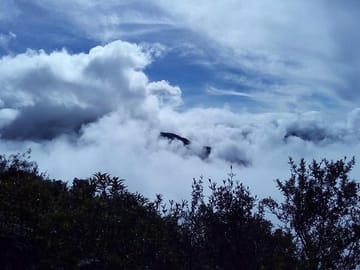 4-Day Jungle Adventure in Manu National Park from Cusco