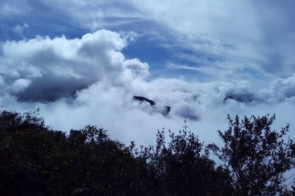 4-Day Manu Jungle Trip from Cusco