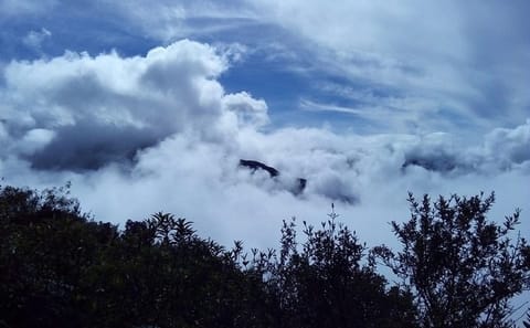 4-Day Jungle Adventure in Manu National Park from Cusco