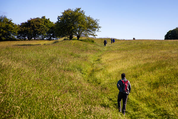 Celtic Boyne Valley Day Tour 3