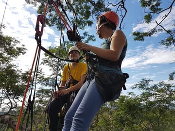 Tree Climbing Adventure in the Amazon Rainforest, Manaus