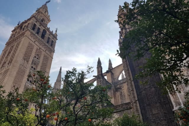 Cathedral of Seville and Giralda Guided Tour from Seville photo 4