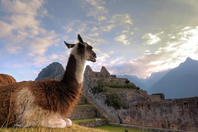  Machu Picchu Full day from Cusco 4