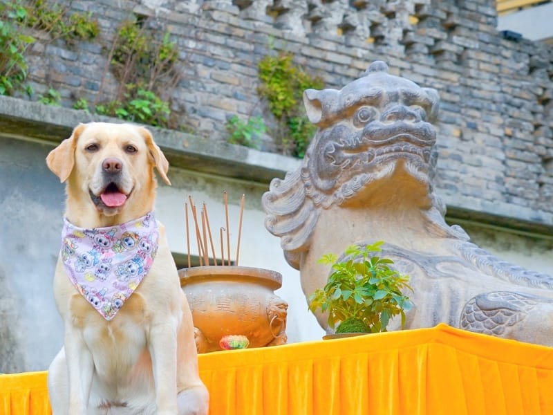 Shanghai: Ancient Trail & Tomato Farm Private Day Trip