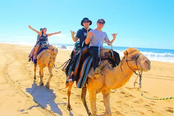 One Hour Camel Riding Adventure With transfer From Hurghada