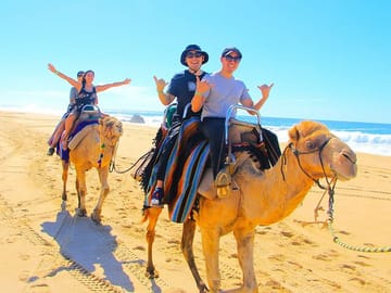 Camel Riding Adventure in the Egyptian Desert from Hurghada