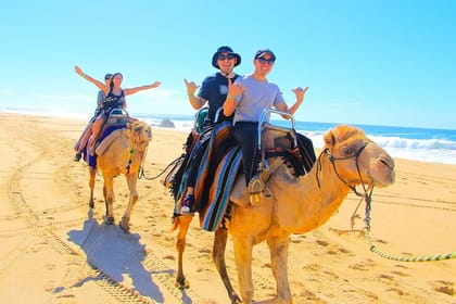 One Hour Camel Riding Adventure With transfer From Hurghada