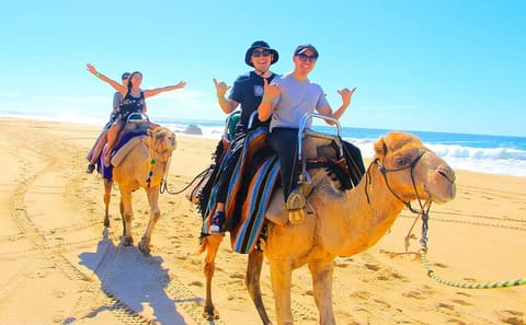 Camel Riding Adventure in the Egyptian Desert from Hurghada
