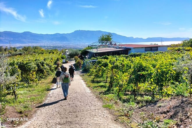 Naples Shore City Tour, Pompeii & Winery . 9