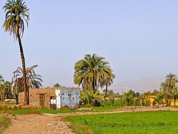Private Dahshur Pyramids and Farmland Experience