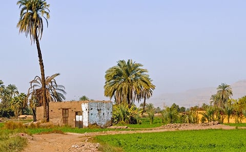 Private Dahshur Pyramids and Farmland Experience