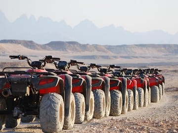 Marsa Alam Desert Adventure: Jeep, Quad, Camel & Bedouin Dinner