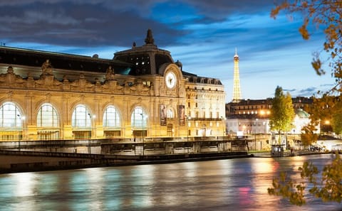 Private Walking Tour of the Seine and Musée d'Orsay in Paris