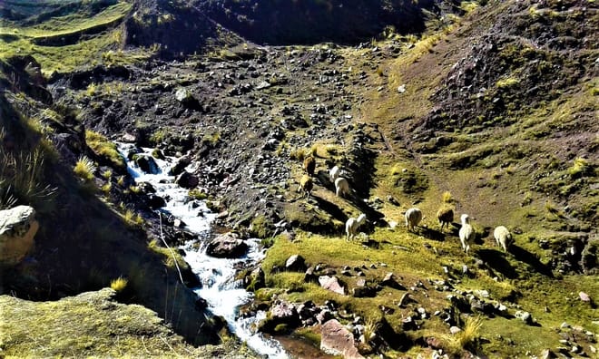 Ausangate and Rainbow Mountain Trek 4D/3N 9