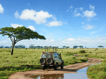 3-Day Safari Adventure in Anantya Serengeti, Tanzania
