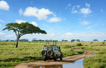 3-Day Safari Adventure in Anantya Serengeti, Tanzania