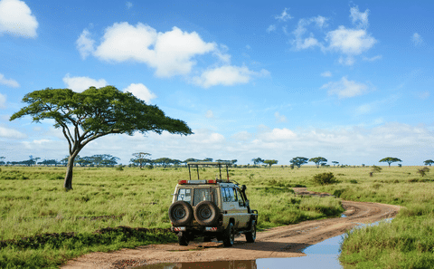 3-Day Safari Adventure in Anantya Serengeti, Tanzania