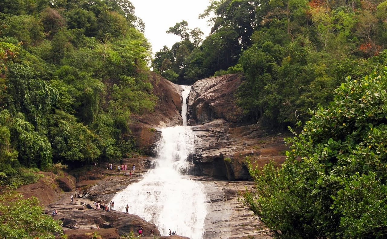 Glory of Sri Lanka (04 nights & 05 days) 8