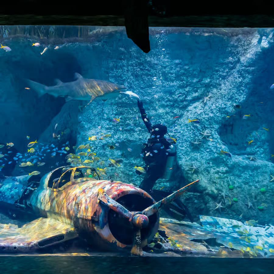Abu Dhabi : The National Aquarium Aquatic Wonderland,