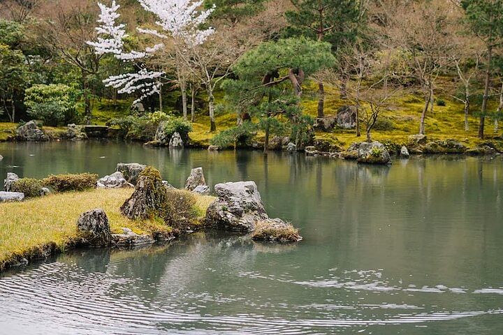 Arashiyama Walking Tour - Bamboo Forest, Monkey Park & Secrets