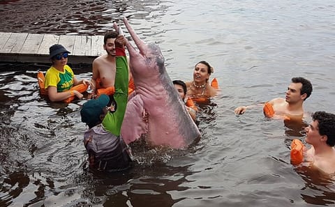 4-Day Cultural and Culinary Tour in Manaus, Brazil