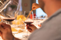 From Verona: Half-Day Valpolicella & Amarone Wine Experience 4