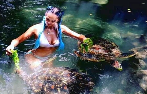 Baraka Aquarium in Swimming with Turtles and Sunset Dhow Cruise