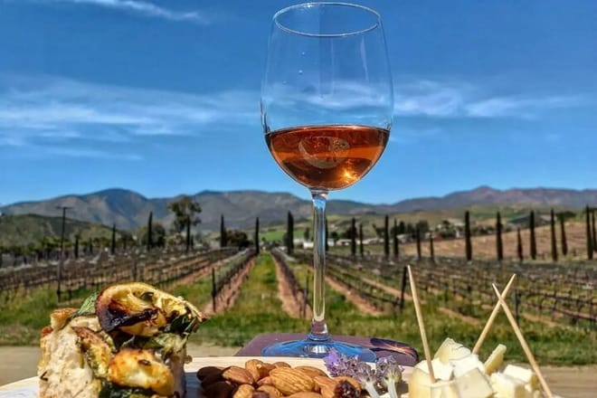 From the Border to Valle de Guadalupe Private Wine Tour - Photo 2