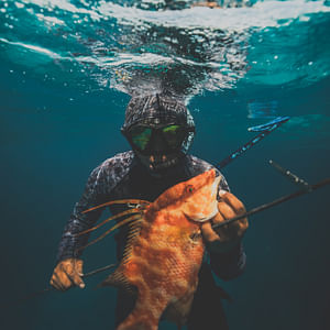 Spearfishing 