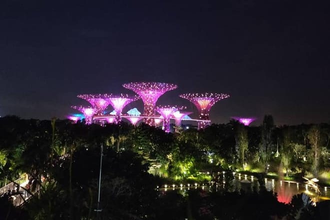 Private Tour: Nighttime Sightseeing with River Cruise 4