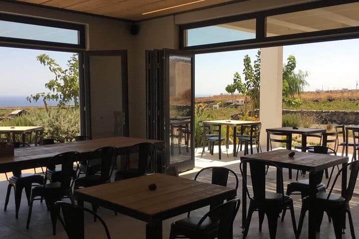 Vip Tour Giza pyramids, sphinx with Camel Ride and Vip lunch