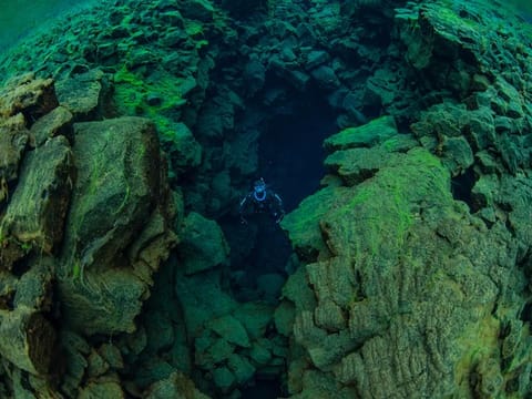 Freedive Silfra day tour, photo 4