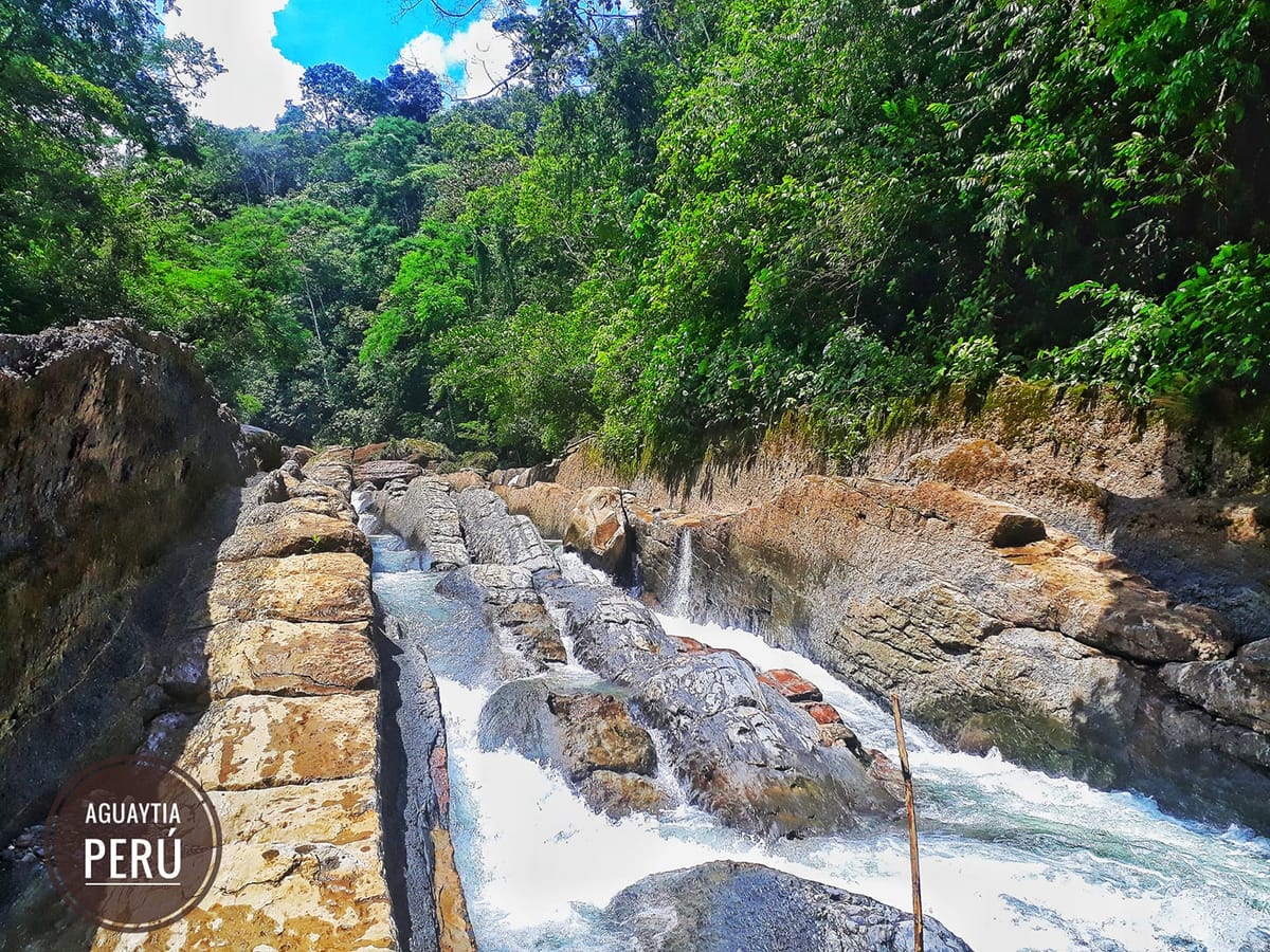 Puc-05 : Yarinococha and Pink Dolphins – Shipibo Conibo Connection