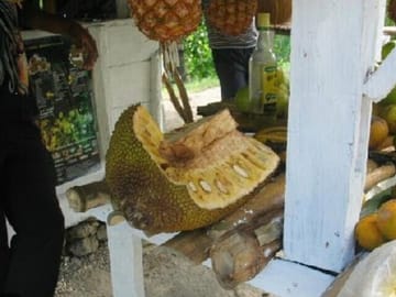 Cultural Food Tour & Seven Mile Beach At Negril’s Margaritaville