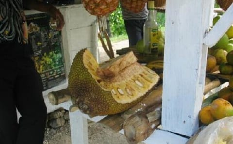 Cultural Food Tour & Seven Mile Beach At Negril’s Margaritaville